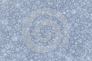 Macro photography of detergent bubbles.