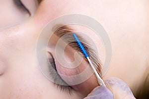 Macro photography of eyebrow hairs with dominant compositions applied, the master combs and puts the hairs with a brush