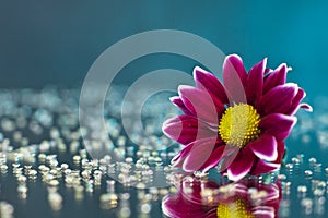 Macro photography of flower standing on a mirror among rhinestones