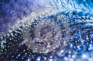 Macro photography of flowers. Water drops on iris petals. Blue petal abstract floral background