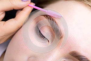 Macro photography of the model`s hairs the master combs the eyebrow hairs with a pink brush after the procedure long-term styling