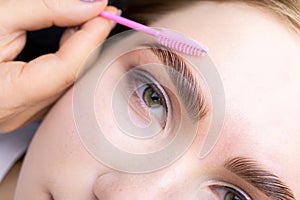 Macro photography of the model`s hairs the master combs the eyebrow hairs with a pink brush after the procedure long-term styling