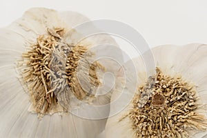 Macro photography of an opened, dried Garlic bulb showing some of the Garlic cloves.