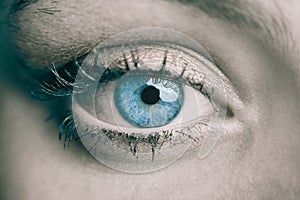 Macro photography of a pretty blue female eye
