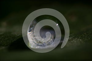 Macro photography of a single waterdrop