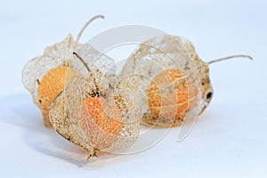 Macro photography of three goldenberries dried calyxes