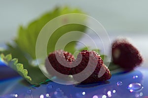 Macro Photography of wild strawberries