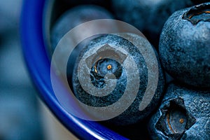 Macro picture of pile of blueberries in the cup