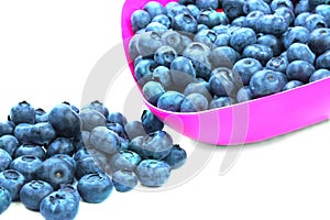 Macro picture of sweet juicy blueberries in a bright pink plastic bowl, isolated on a white background. Healthy summer berries.