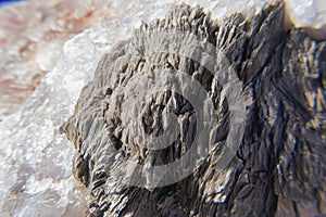 Macro Portrait of Rigid Intrusive Rock