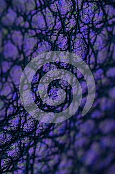 Macro of purple textured leather