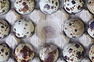 Macro of quail eggs stack on egg tray with one missing egg, concept of missing part.