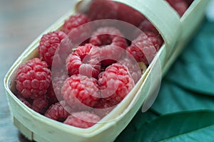 Macro raspberries in a basket with leaf