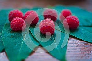 Macro raspberries on the leaf