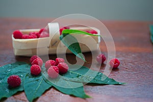 Macro raspberries on the leaf