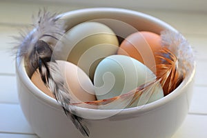 Macro of Raw Eggs with Feather from Domestic Fowl in Bowl