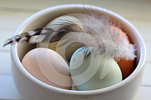 Macro of Raw Eggs with Feather from Domestic Fowl in Bowl