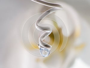 Macro reflection in a drop