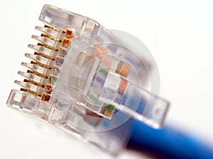 Macro of RJ45 Network Connection Plug