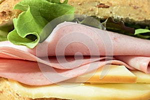 Macro sandwich