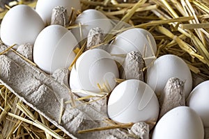 Macro shoot of brown / white  eggs at hay nest in chicken farm