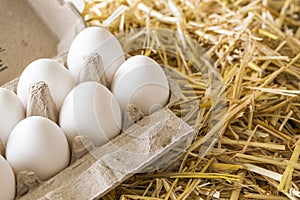 Macro shoot of brown / white  eggs at hay nest in chicken farm