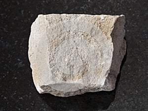 raw gray Dolomite stone on dark background