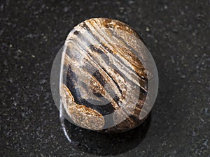 tumbled stromatolite gemstone on dark background photo