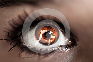 Macro shot of amber woman's eye