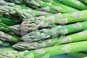 Macro shot of asparagus