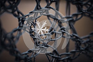 Macro shot of a beautiful snowflake on a metal fence