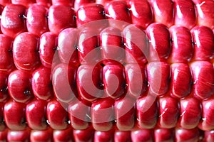 Macro shot of the beautiful vibrant magenta color of purple corn kernels on the cob