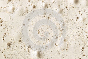 Macro shot Beer foam bubbles texture background. Craft beer flowing foam with sparkling bubbles. Beer foam texture close up.