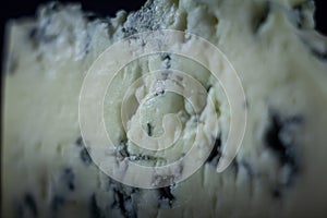 macro shot of a blue cheese sliced, from france, with a focus on mold and blue veins. It\'s a cheese made with