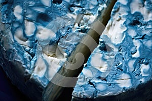 macro shot of blue mold veins in a blue cheese wheel