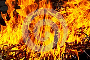 Macro shot of bonfire, white smoke, hot, glowing coal and fire. Burning branches and wood.