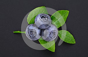 Macro shot of a branch of a bilberry bush leaf