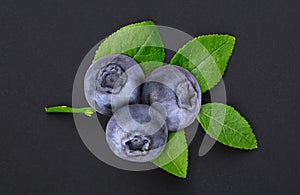 Macro shot of a branch of a bilberry bush leaf