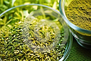 macro shot of brewing ingredients: hops, barley, water and yeast