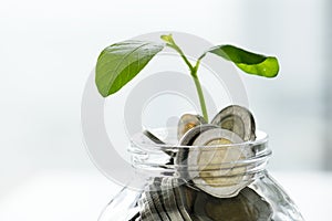 Macro shot of business financial banking concept