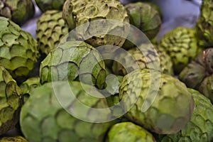 Macro shot of Cherimoya fruits. The cherimoya is scientifically named Annona Cherimola on the market in Funchal, Madeira