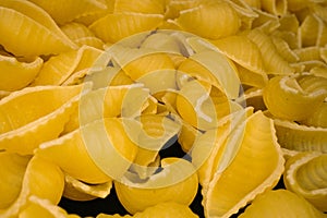 Macro shot of dried Italian conchiglie pasta background.