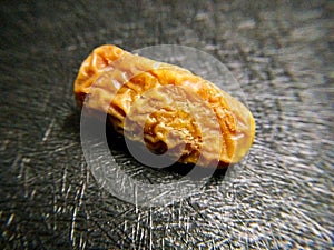 Macro shot of dry date fruit