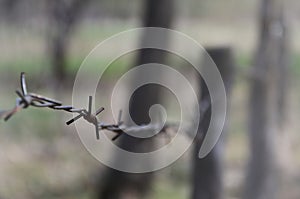 Macro shot of an element of old and rusty barbed wire with a blurred background. Fragment of a village fence of a territorial sit