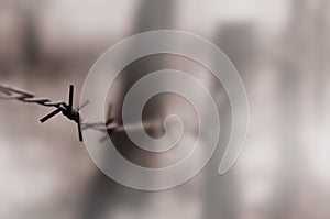 Macro shot of an element of old and rusty barbed wire with a blurred background. Fragment of a village fence of a territorial sit