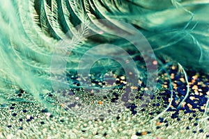 Macro shot of feather and glitter