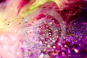 Macro shot of feather and glitter