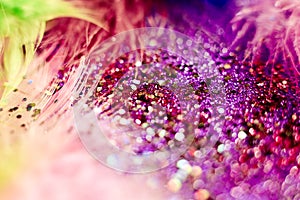 Macro shot of feather and glitter