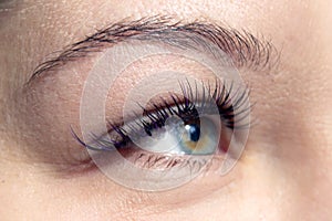 Macro shot of female eye with extreme long eyelashes