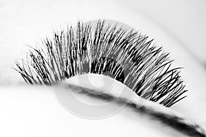 Macro shot of female eye with extreme long eyelashes. Black and white shot